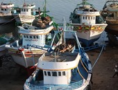 سول تستدعى السفير الصينى للمطالبة بالتعاون ضد الصيد غير المشروع