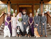 بعد البرايد ميدز.. الكلاب مع العروسين أحدث تقاليع صور الأفراح
