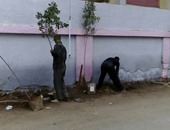 بالصور.. حى غرب شبرا الخيمة يواصل تنفيذ مبادرة"ازرع شجرة أمام المدارس"
