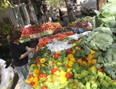 الزراعة: سحب 600 عينة بـ13 محافظة تأكيدا لخلو الخضروات من متبقيات المبيدات