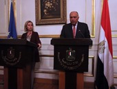 وزير الخارجية يدعو دول العالم بالتعامل بنهج واحد مع كل التنظيمات الإرهابية