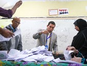 فوز محمد بدراوى مرشح الحركة الوطنية وفتحى ندا بمقعدى دائرة السنطة