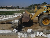 وزارة الزراعة: إزالة 7 مخالفات على الأراضى الزراعية بالإسكندرية