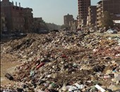رفع 65 طن قمامة من شوارع مدينة المنصورة