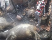 السيطرة على حريق التهم منزلا ومحل بقالة بطما فى سوهاج