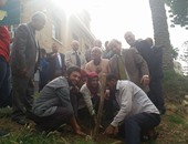 بالصور.. "علوم الإسكندرية" تزرع 60 شجرة ليمون فى مبادرة لمقاومة التغيرات المناخية