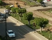صحافة المواطن: تجريف حدائق شارع أبو بكر الصديق بمصر الجديدة لتوسيع الطريق