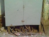 صحافة المواطن.. سكان عزبة رستم بشبرا الخيمة يطالبون "الكهرباء" بغلق الكبائن المفتوحة