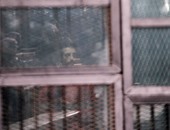 بالفيديو والصور.. تأجيل محاكمة عادل حبارة بتهمة قتل مخبر بالشرقية لجلسة 5 نوفمبر