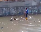 بالفيديو..حمار "فدائى" يعوم حتى أذنيه لإنقاذ صاحبيه من مياه الأمطار