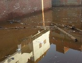 صحافة مواطن: بالصور.. غرق برمبال القديمة بالدقهلية فى مياه الصرف والمطر