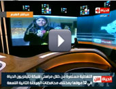 الحياة: قاضٍ يكشف عن ثلاثة تصريحات مزورة لمندوبى حزب الحرية والعدالة 