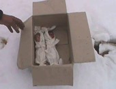 تداول صورة لتوأم حديث الولادة توفيا بسبب قسوة البرد فى سوريا