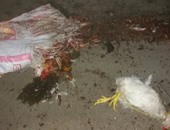 صحافة المواطن.. سكان قرية شبرا العنب بالمنيا يشكون التلوث البيئى