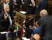 نبيل دعبس: مناوشات النواب طبيعية واختيار على عبد العال لرئاسة المجلس "موفق"