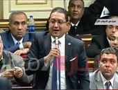 نائب يطالب بمحاكمة ناشطة: تحرض المصريين على التهلكة وتهدم جهود الدولة