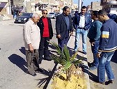 بالصور.. رؤساء مدن البحر الأحمر يتابعون حملة تشجير الشوارع