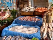 بالفيديو..بعد واقعة نفوق الأسماك بنهر النيل.."تجار السمك":"احنا اتوقف حالنا"