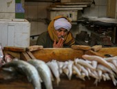 ضبط 500 كليو أسماك فاسدة داخل محل فى القاهرة