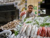 تجار أسماك: أعياد الأقباط وراء ارتفاع الأسعار.. و14 جنيها سعر كيلو البلطى