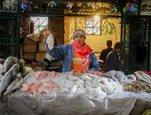 د. عبد الحميد عيد يكتب: اطلبوا الأسماك ولو من موريتانيا