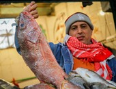 "الزراعة": حملات تفتيشية على منافذ بيع الأسماك خلال الاحتفال بشم النسيم
