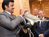 بالفيديو.. بوتين يهدى صقرا لأمير قطر بمناسبة زيارته لروسيا