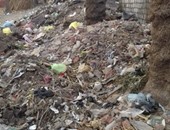 صحافة المواطن.. بالصور.. القمامة تحتل شوارع قرية "المريج" بالقليوبية