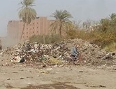 بالصور.. أهالى كوم أمبو يرفعون القمامة على نفقتهم بعد تقاعس مجلس المدينة