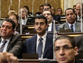 "خارجية البرلمان": تصريحات أردوغان عن مصر وصلت للجنون بعد ضياع حلمه