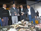 محافظ أسوان يوجه بالارتقاء بمصنع تعبئة وتغليف الأسماك وزيادة إنتاجه