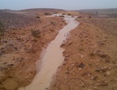 أمطار غزيرة على شمال سيناء تعوق حركة السير بالشوارع