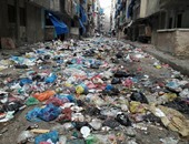 أمين عام"الثورة المصرية"ينتقد التجديد لـ"نهضة مصر" لرفع القمامة بالإسكندرية