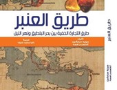 "مجموعة النيل" تصدر الطبعة العربية لـ"طريق العنبر"