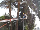 التنمية المحلية توجه بفحص أعمدة الكهرباء بعد تحذيرات من سقوط أمطار