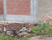 بالصور..كابلات الكهرباء تهدد حياة المواطنين بالعجمى فى الإسكندرية
