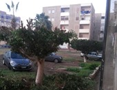 صحافة المواطن: الحدائق الخضراء تتحول إلى جراج للسيارات فى الشيخ زايد