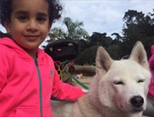 باسم يوسف ينشر صور ابنته تداعب الكلاب معلقًا: الرقص مع الذئاب