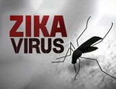 صحيفة إسبانية: وفاة أول حالة مصابة بفيروس زيكا فى فرنسا