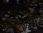 صحافة المواطن..  بالصور: القمامة تحاصر الشوارع الرئيسية بكفر سرنجا بالدقهلية