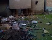 بالصور.. منازل قرية ميت الوسطى بالمنوفية عائمة على مياه الصرف الصحى