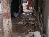 صحافة المواطن.. كابلات كهرباء مكشوفة تهدد حياة المواطنين بالإسكندرية