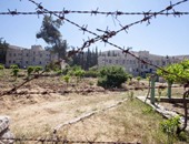 صحيفة إسرائيلية: مُخطط لبناء مستوطنتين جديدتين فى الجولان السورى المُحتل