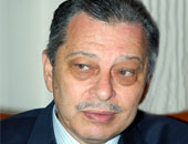  «البرادعى» بدأ بتصريح عن إنشاء مليون وحدة سكنية مستقبلاً 