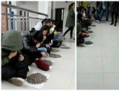 بالصور.. مدرس صينى يعاقب طلابه بتناول 50 كيلو من اللب