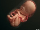 10 معلومات مذهلة عن الجنين فى بطن أمه