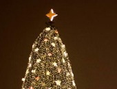 بالصور.. أجمل 10 شجرات لعيد الميلاد حول العالم