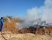 الحماية المدنية تسيطر على حريق شونة قمح بمساحة 10 آلاف فدان فى كفر صقر
