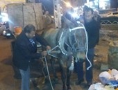 حملات مسائية بالإسكندرية لضبط "النباشين" والقضاء على مشكلة القمامة