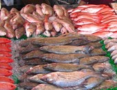في سوق السمك: 12 جنيهًا للبلطى الأكثر شعبية.. و170 جنيهًا سعر الجمبرى